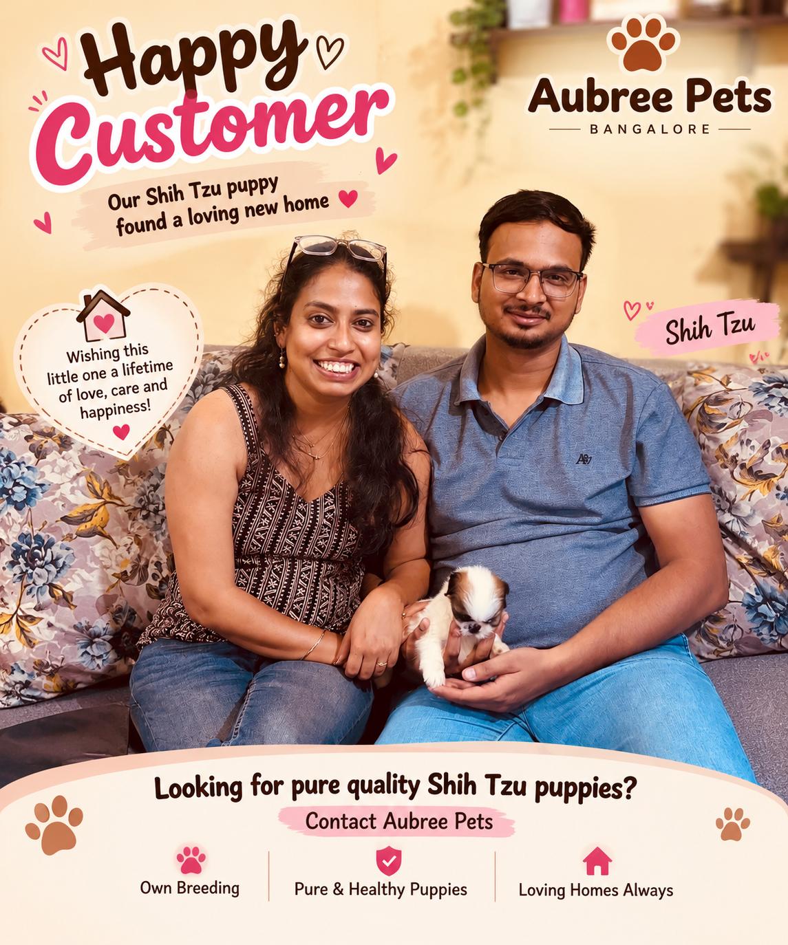 A happy couple welcoming their Shih Tzu puppy in an Aubree Pets homecoming photo